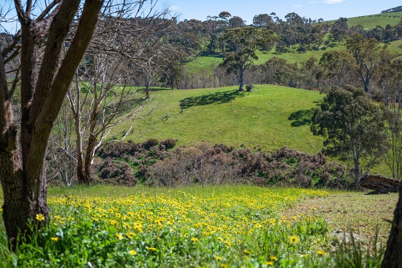 Photo - 620B Springs Road, Mount Barker Springs SA 5251 - Image 28