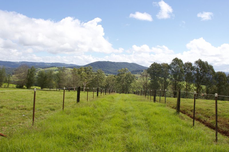 Photo - 621 Old Coast Road, Dorrigo NSW 2453 - Image 11