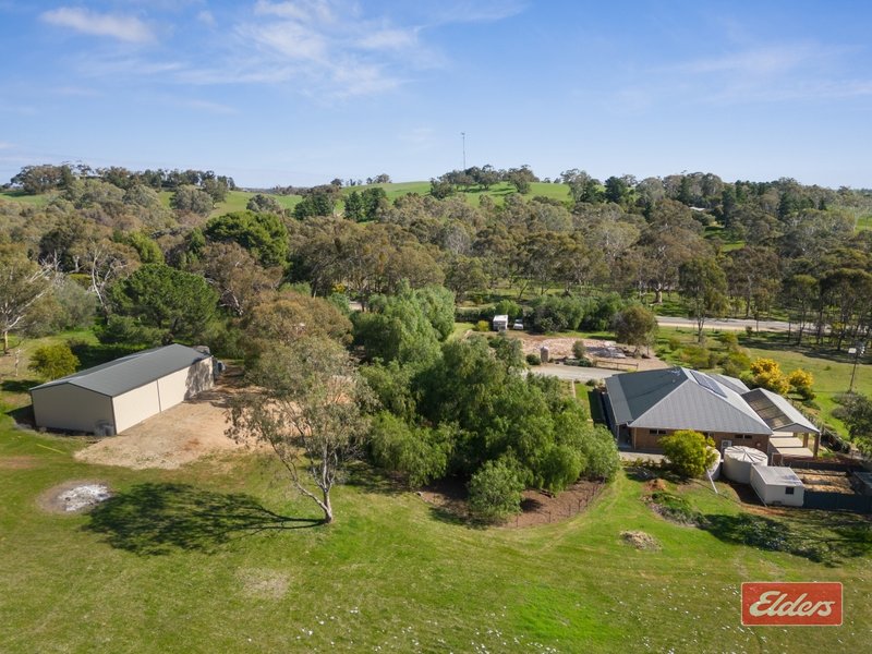 Photo - 622 Yettie Road, Cockatoo Valley SA 5351 - Image 22