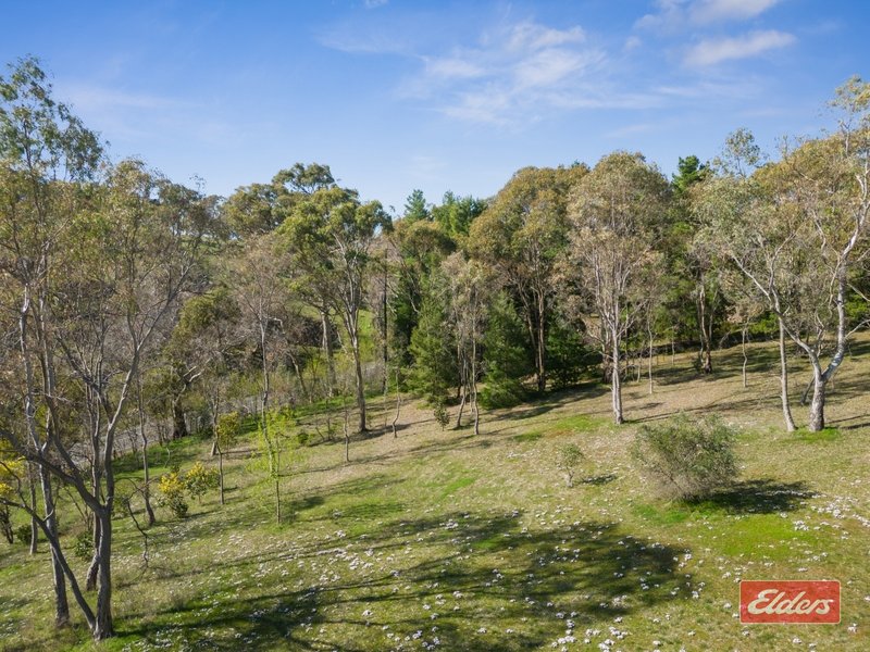 Photo - 622 Yettie Road, Cockatoo Valley SA 5351 - Image 23