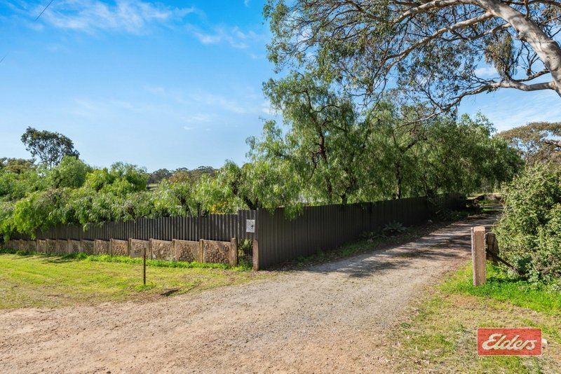 Photo - 622 Yettie Road, Cockatoo Valley SA 5351 - Image 28