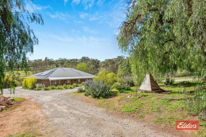 Photo - 622 Yettie Road, Cockatoo Valley SA 5351 - Image 29