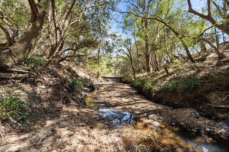 Photo - 624 Lower Kangaroo Creek Road, Coutts Crossing NSW 2460 - Image 22