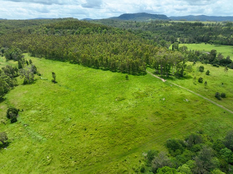 Photo - 624 Tabulam Road, Tabulam NSW 2469 - Image 7