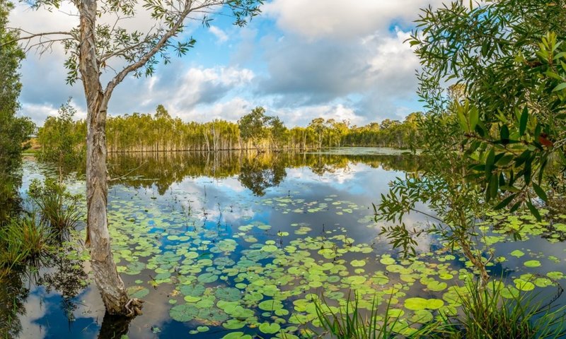 Photo - 625 Counter Road, Wolvi QLD 4570 - Image 4