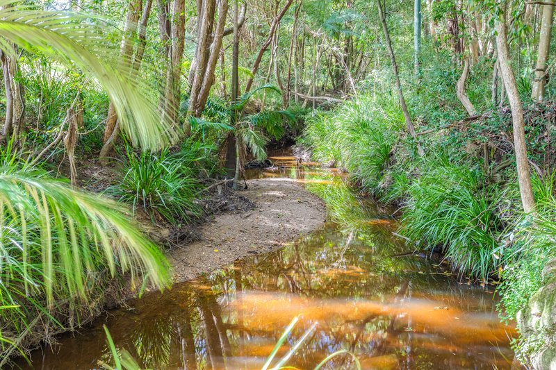 Photo - 625 Trouts Road, Aspley QLD 4034 - Image 5