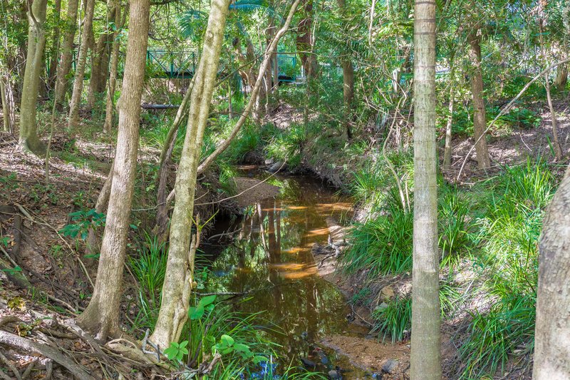 Photo - 625 Trouts Road, Aspley QLD 4034 - Image 6