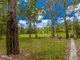 Photo - 626 Beckmanns Road, Glenwood QLD 4570 - Image 4