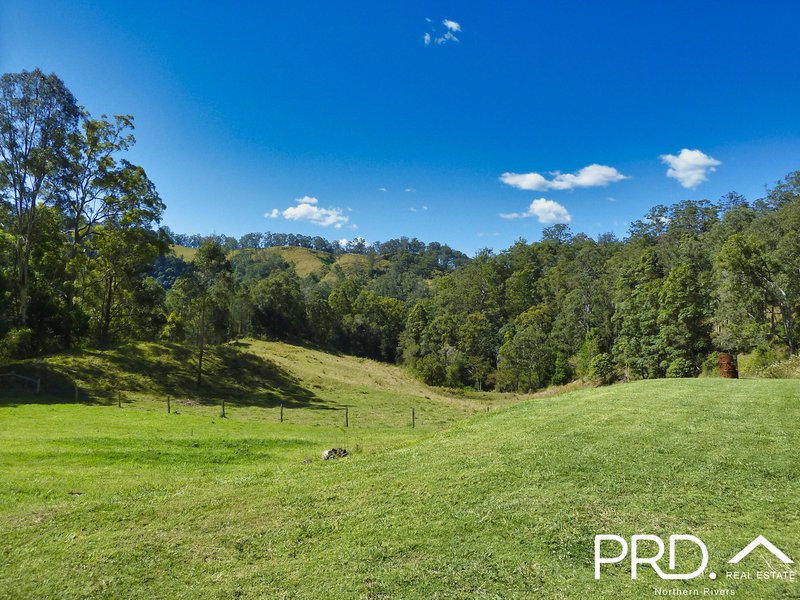 Photo - 626 Horseshoe Creek Road, Kyogle NSW 2474 - Image 4