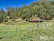 Photo - 626 Horseshoe Creek Road, Kyogle NSW 2474 - Image 5