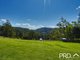 Photo - 626 Horseshoe Creek Road, Kyogle NSW 2474 - Image 20