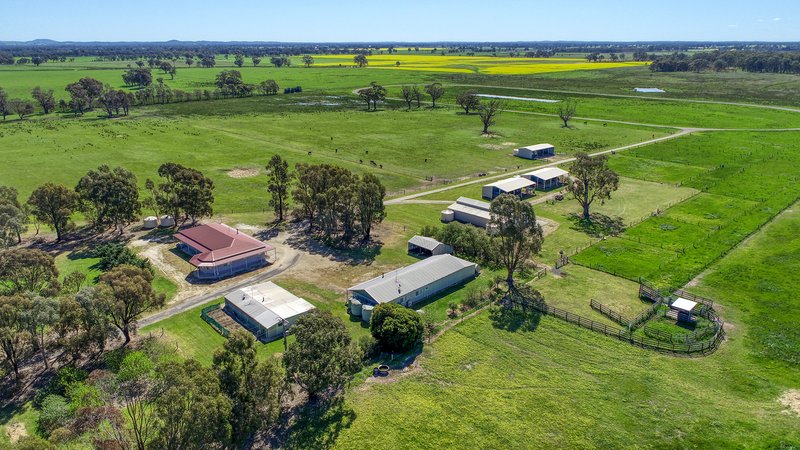 Photo - 629 Nagambie-Locksley Road, Nagambie VIC 3608 - Image 8