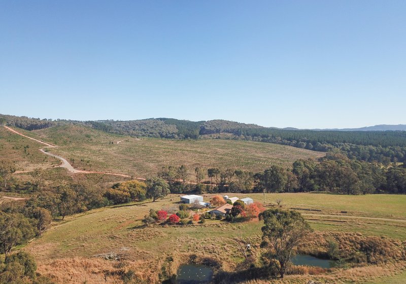 629 Taradale Road, Tumbarumba NSW 2653