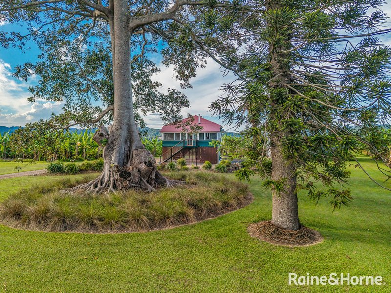 Photo - 629 Tumbulgum Road, Tygalgah NSW 2484 - Image 6