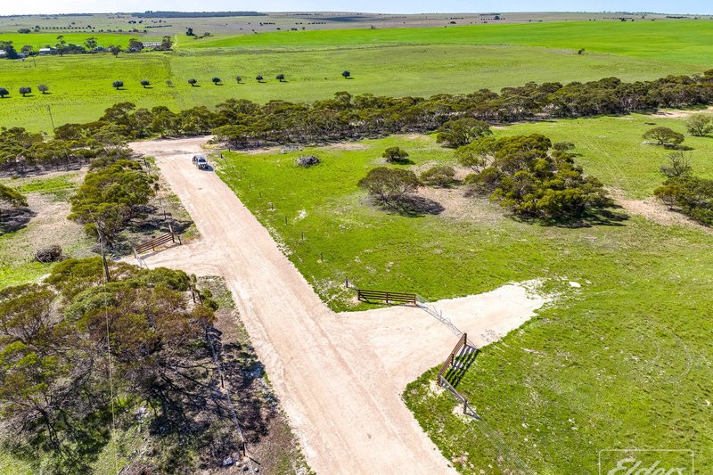 Photo - 629 Westbrook Road, Tailem Bend SA 5260 - Image 3