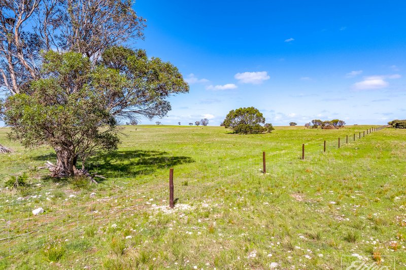 Photo - 629 Westbrook Road, Tailem Bend SA 5260 - Image 4