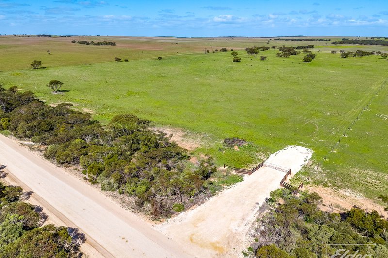 Photo - 629 Westbrook Road, Tailem Bend SA 5260 - Image 6