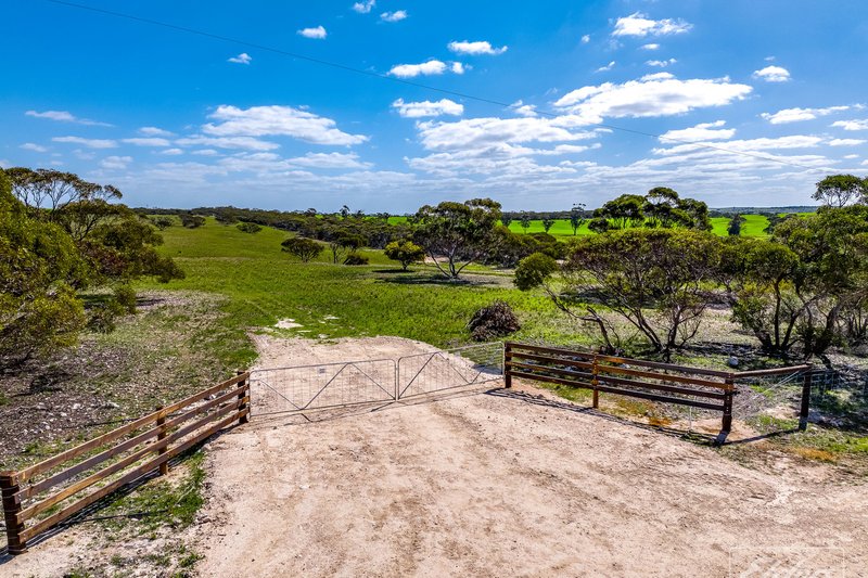 Photo - 629 Westbrook Road, Tailem Bend SA 5260 - Image 9