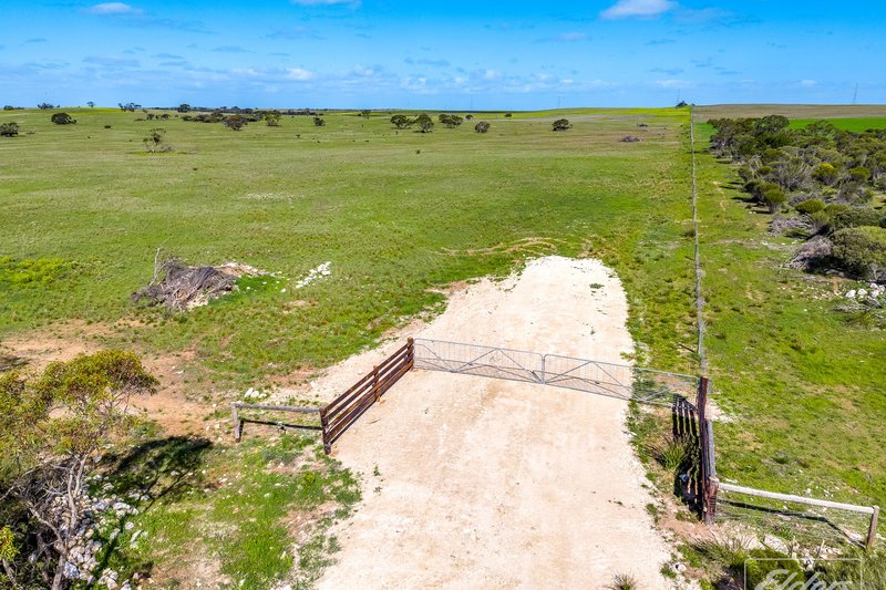 Photo - 629 Westbrook Road, Tailem Bend SA 5260 - Image 10