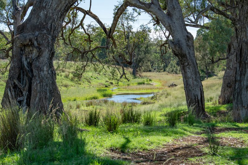 Photo - 6292 Killarney Gap Road, Narrabri NSW 2390 - Image 3