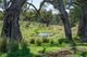 Photo - 6292 Killarney Gap Road, Narrabri NSW 2390 - Image 3