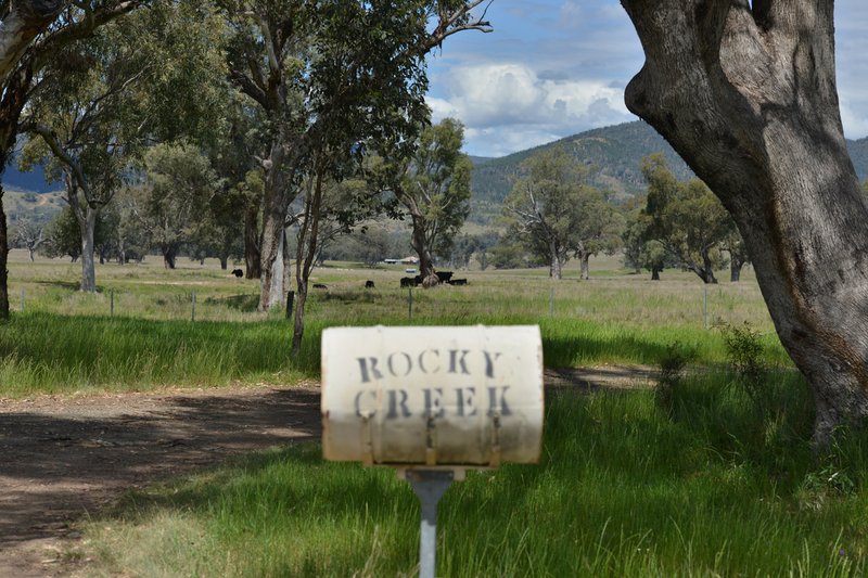 Photo - 6292 Killarney Gap Road, Narrabri NSW 2390 - Image 9