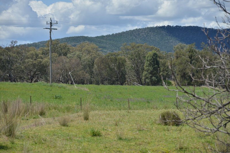 Photo - 6292 Killarney Gap Road, Narrabri NSW 2390 - Image 22