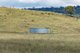 Photo - 6292 Killarney Gap Road, Narrabri NSW 2390 - Image 25