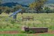 Photo - 6292 Killarney Gap Road, Narrabri NSW 2390 - Image 28