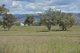 Photo - 6292 Killarney Gap Road, Narrabri NSW 2390 - Image 30