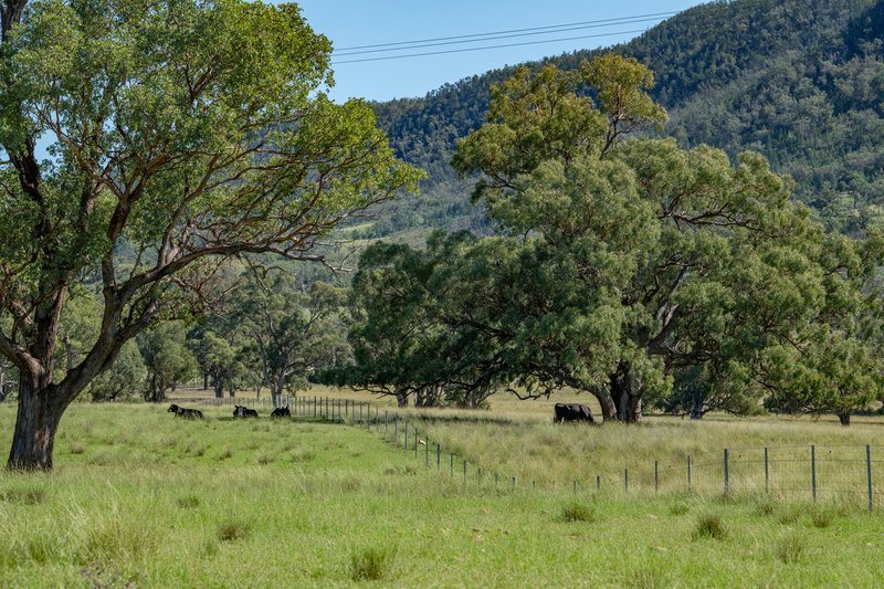 Photo - 6292 Killarney Gap Road, Narrabri NSW 2390 - Image 33