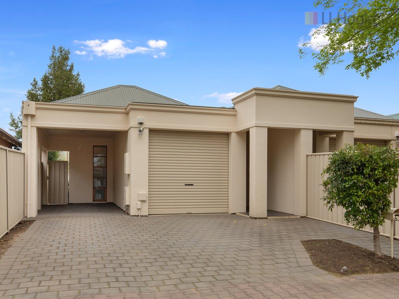 63 Alexandra Street, Prospect SA 5082