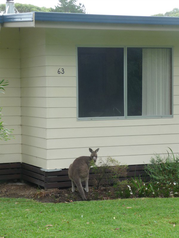 Photo - 63 Berrara Road, Berrara NSW 2540 - Image 15