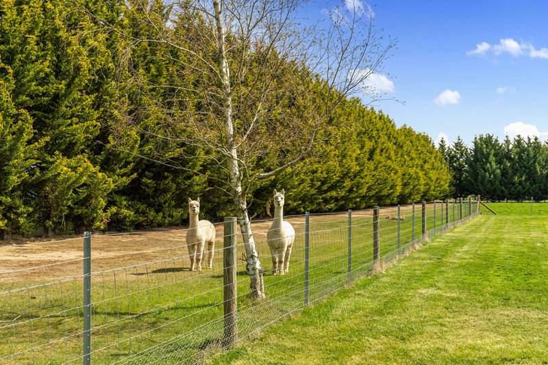 Photo - 63 Blakeville Road, Ballan VIC 3342 - Image 29