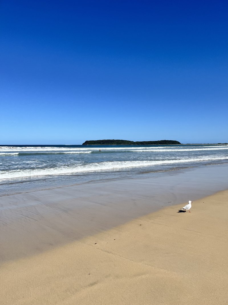 Photo - 63 Candlagan Drive, Broulee NSW 2537 - Image 28