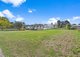 Photo - 63 Cowper Street, Taree NSW 2430 - Image 8