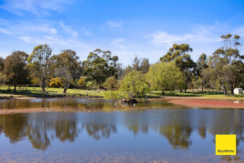 Photo - 63 Creekborough Road, Bywong NSW 2621 - Image 4