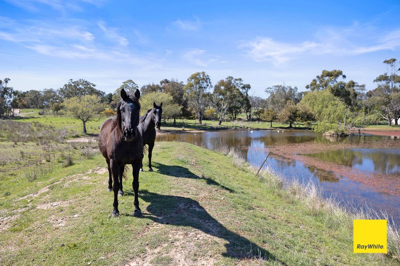 Photo - 63 Creekborough Road, Bywong NSW 2621 - Image 26