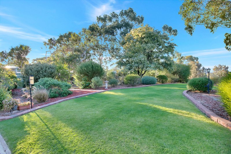 Photo - 63 Davies Road, Cockatoo Valley SA 5351 - Image 18