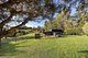 Photo - 63 Driers Road, Cooran QLD 4569 - Image 5