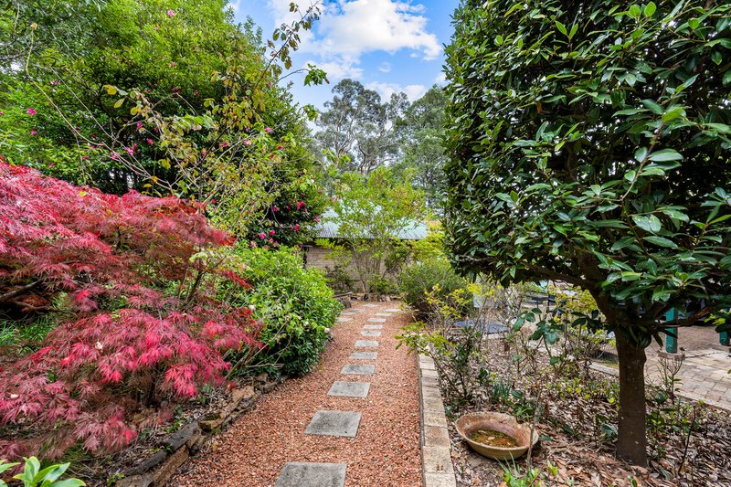 Photo - 63 Leichhardt Street, Blackheath NSW 2785 - Image 9