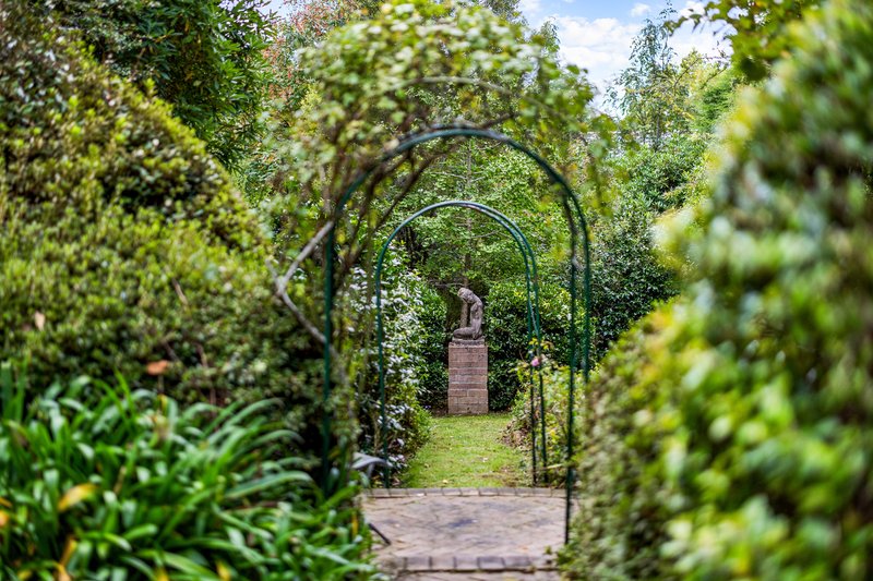 Photo - 63 Leichhardt Street, Blackheath NSW 2785 - Image 16