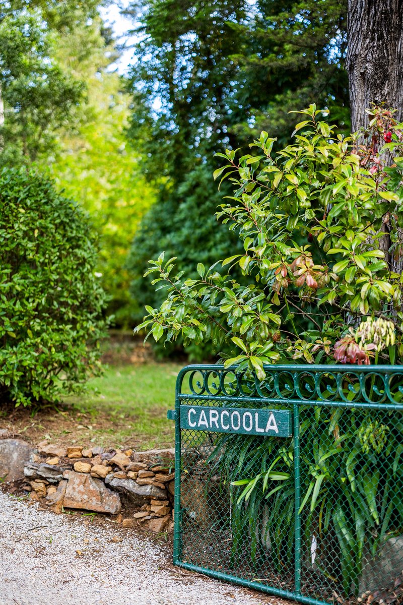 Photo - 63 Leichhardt Street, Blackheath NSW 2785 - Image 23