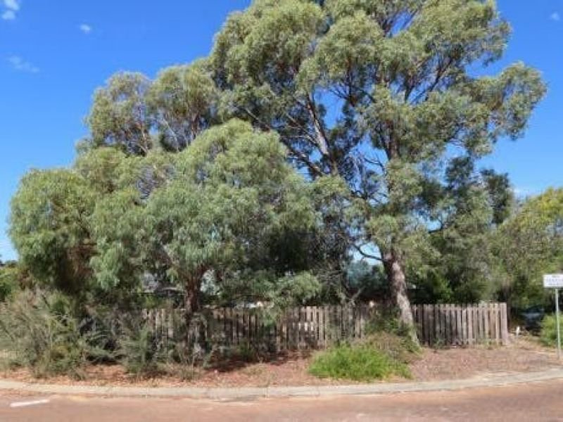 Photo - 63 Norfolk Street, Dunsborough WA 6281 - Image 13