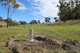 Photo - 63 Odonohoe Road, Hirstglen QLD 4359 - Image 20