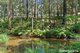 Photo - 63 Old Princes Highway, Termeil NSW 2539 - Image 31