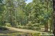 Photo - 63 Old Princes Highway, Termeil NSW 2539 - Image 32