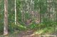 Photo - 63 Old Princes Highway, Termeil NSW 2539 - Image 33