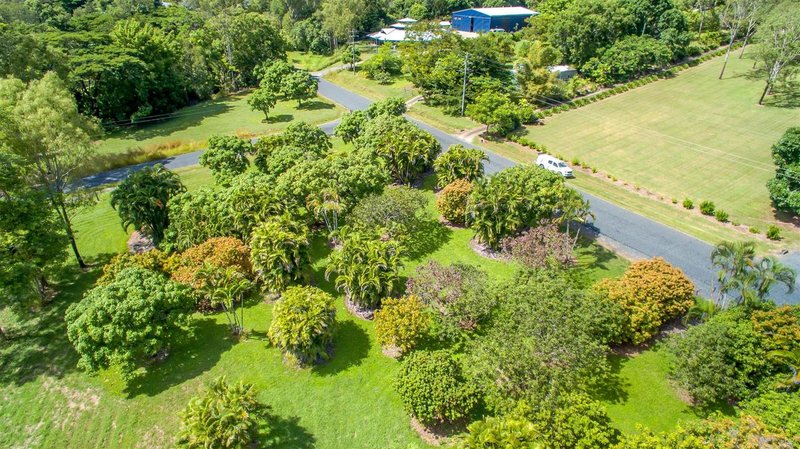 Photo - 63 Orchid Road, Cannonvale QLD 4802 - Image 3