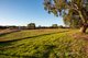 Photo - 63 Osprey Drive, Reinscourt WA 6280 - Image 28